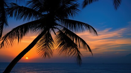 dusk palm tree lights