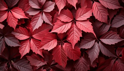 wine red autumn leaves texture fall nature background ai generative