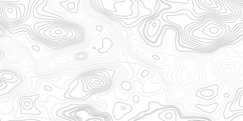 Gray topographic line contour map background, geographic grid map, Vector seamless background with texture topographic contour line, 