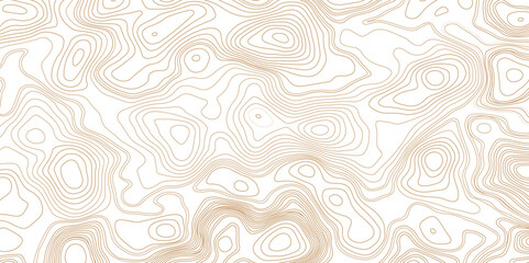 Brown topographic line contour map background, geographic grid map