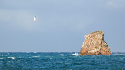 sea and rocks