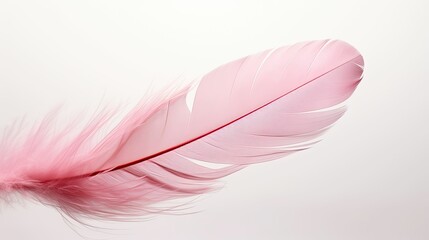 mid pink feather