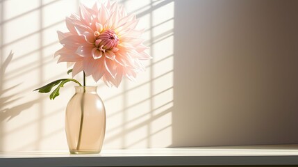sun light pink flower