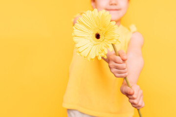 A little girl holding a yellow flower in front of her in front of her in front of a yellow background.