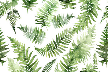 Watercolor Ferns, Delicate fern leaves, Seamless pattern illustration 