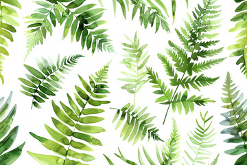 Watercolor Ferns, Delicate fern leaves, Seamless pattern illustration 