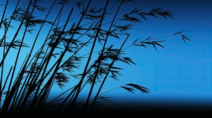 nature bamboo silhouette