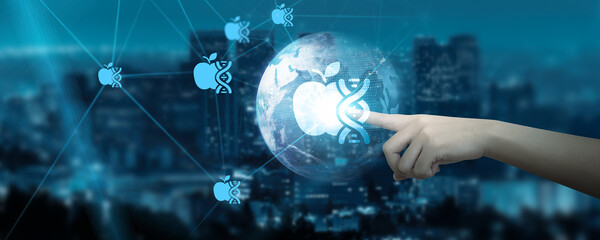 Hand Touching global network connection on 