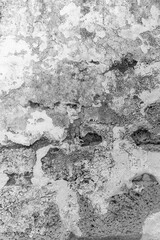 Black And White Wall Texture Close-Up