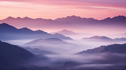 Fototapeta premium eerie nature dark