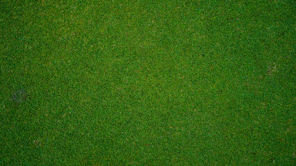 Green grass pattern and texture for background, top view background of garden bright grass concept.