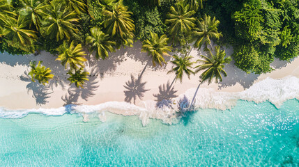 Tropical beach paradise with turquoise waters and palm trees. Dream vacation destination for relaxation and adventure. Seaside escape for serene beach holiday. Relaxing on beach with lush palm trees.