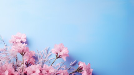 bouquet pink background blue background