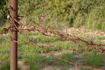 Fil de fer barbel&eacute; rouill&eacute; dans la nature