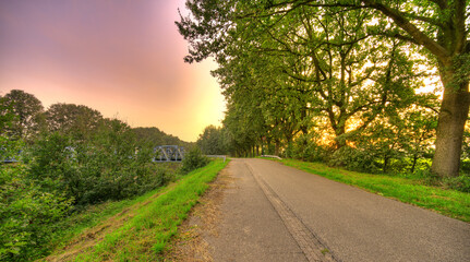 Sunset light peers through the trees alongside the Wilhelminakanaal canal in the south of The Netherlands.