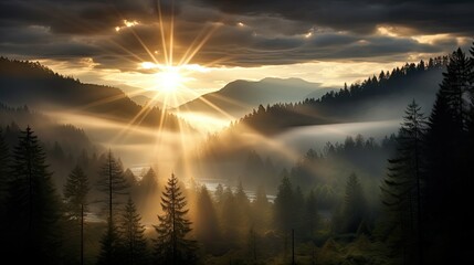 Naklejka premium rays sun burst