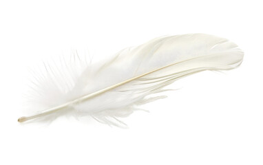 White feather isolated on Transparent background.