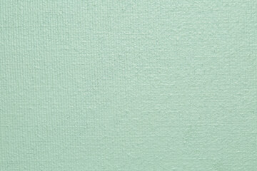 Sage green canvas fabric texture photograph. Blank background. 