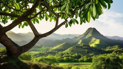 hills plant avocado background