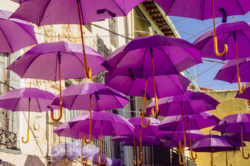 Purple Rain: A Lavender Festival Symphony during the Lavender Festival in Brihuega