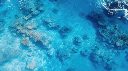 Fototapeta premium coral light blue ocean