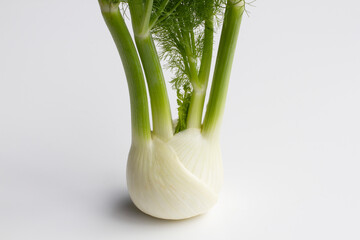 Closeup of a fresh fennel bulb with its long stalks isolated on a white background. Fennel...