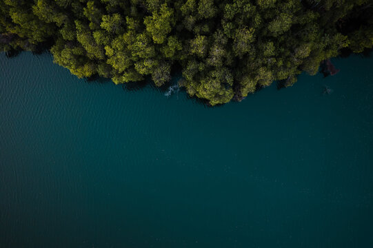 Tranquil lake view with green forest, Aerial drone shot of beautiful lake