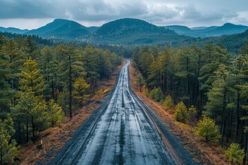 Fototapeta premium An image portraying a long, straight rain-soaked asphalt road running through a serene pine forest