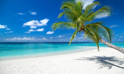 Tropical beach. Nature most beautiful place