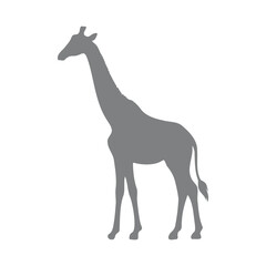 Vector illustration of giraffe silhouette
