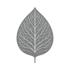 Vector illustration of leaf silhouette