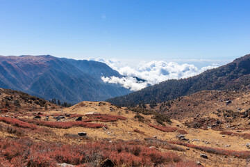 The image depicts a serene landscape with mountains and trees. The scene includes a mountain range with trees covering its slopes. Silver-white clouds fill the valley below, adding to the tranquility 
