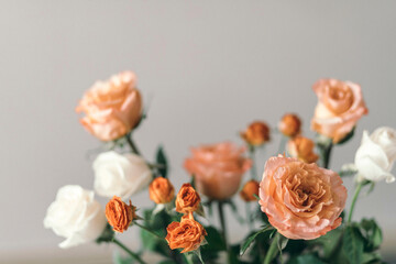 Pastel Petals : A serene display of roses, blending from pale peach to ivory, each flower a...