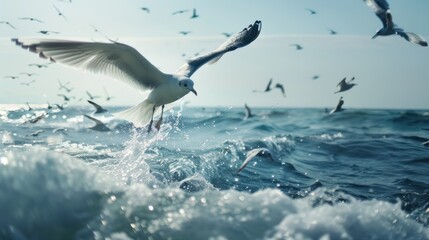 portrait of seagulls flying over the sea in search of food - Powered by Adobe
