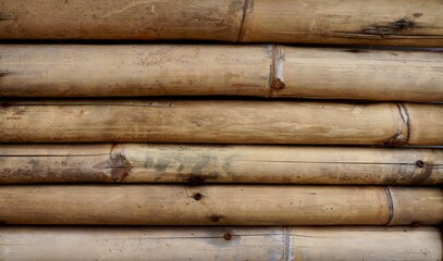 Bamboo wood full frame natural background or wallpaper isolated on full frame horizontal ratio backdrop.