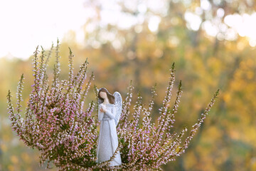 angel figurine and heather flowers close up in garden, sunny abstract natural background. Beautiful...
