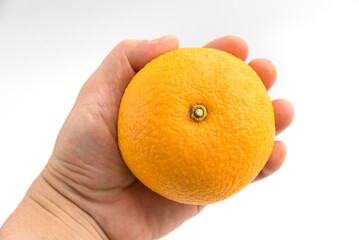 Hand holding orange fruit isolated on white background