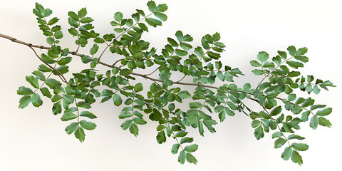 A close-up of a branch covered in green leaves