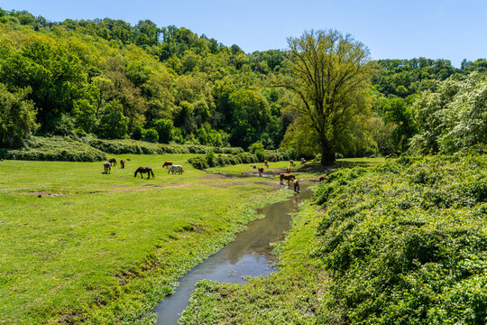 Beautiful scene in the Veio Regional Park, near Formello, Province of Rome, Lazio, Italy.