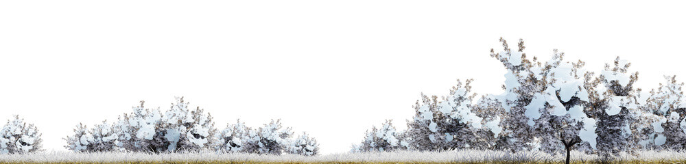 Winter landscape with snowy bushes and trees on a transparent background - 3d illustration
