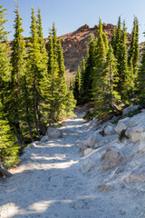 a small hiking path next to a hillside through the lassen volcanic national park, california