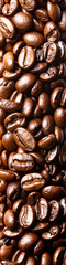 A close up of coffee beans - obrazy, fototapety, plakaty