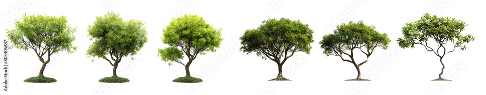 Aufkleber realistic green trees collection with different styles isolated on white or transparent background, 