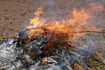 Smoke rises as flames engulf dry wooden sticks.