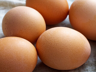 A collection of speckled brown eggs illustrating the concept of fresh, organic produce.