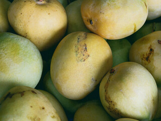 Green mango on display for sale at the local retailer market.