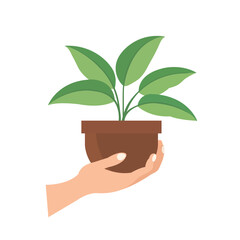 Human hand holding plant on pot, hand lifting flower pot, eco friendly concept clip art, hands carrying a green seedling