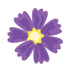 Purple flower vector illustration. Isolated on white. Floral elements for anniversary, wedding, womens and mothers day