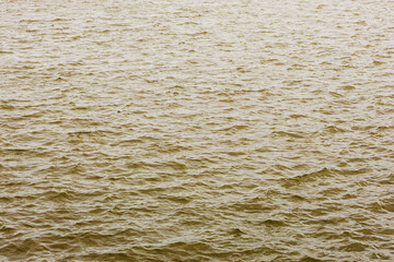 the surface of the water, taken on a cloudy windy evening