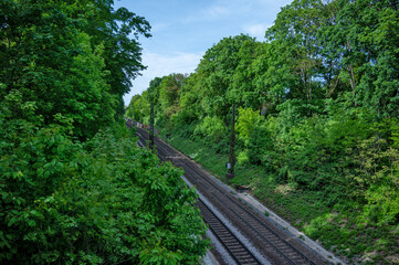 Von Laubbäumen gesäumte Bahngleise